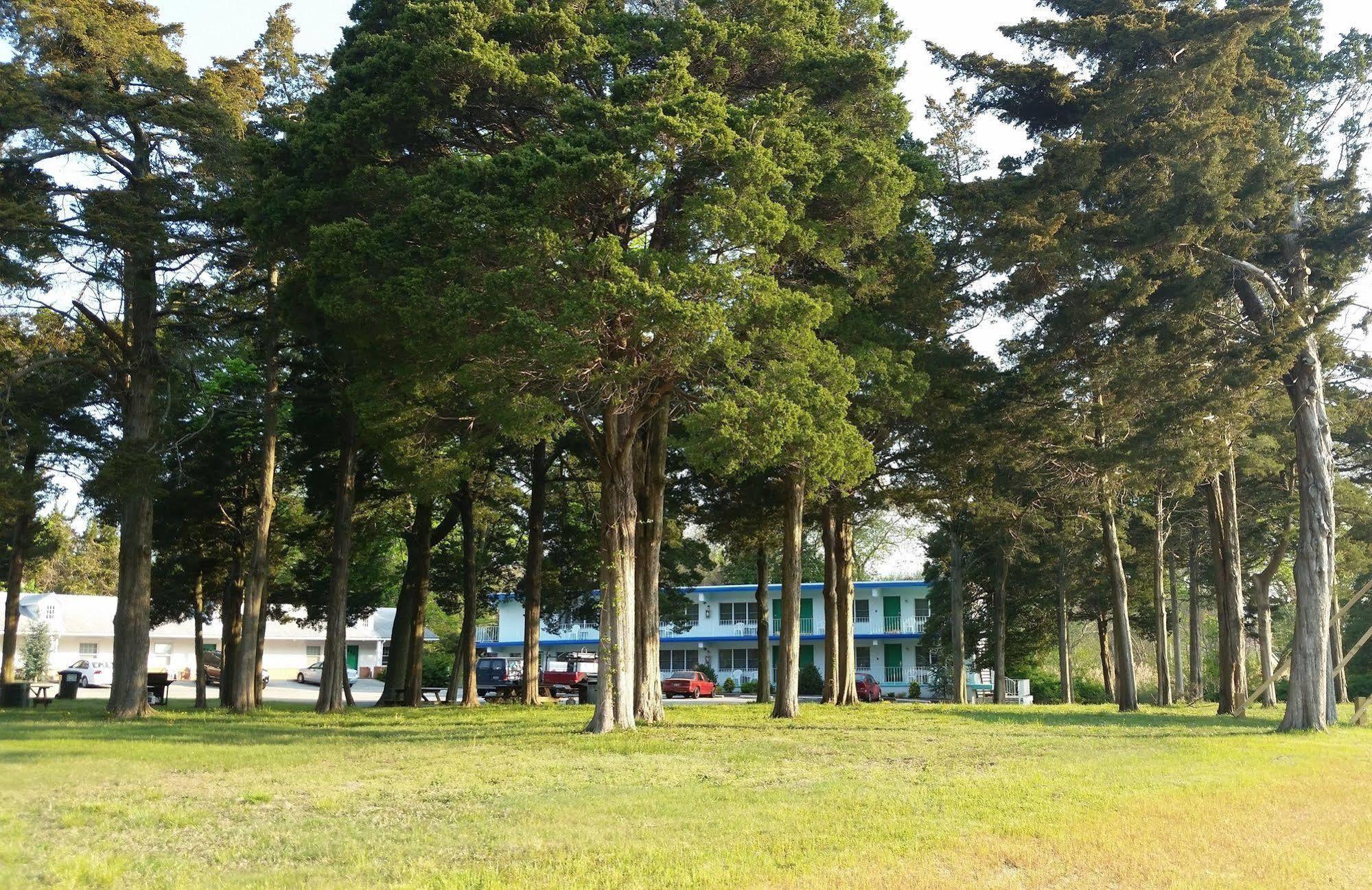 Hyland Motor Inn Кейп-Мэй-Корт-Хаус Экстерьер фото
